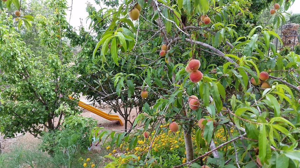 Masseria Ruri Pulcra Patù Εξωτερικό φωτογραφία